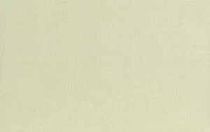 Эсте зеленый верх 01 25х40