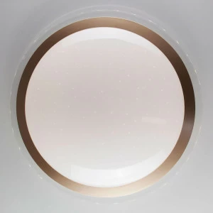 Потолочный светодиодный светильник Eurosvet Fusion 40004/1 LED матовое золото EUROSVET FUSION 204202 Белый