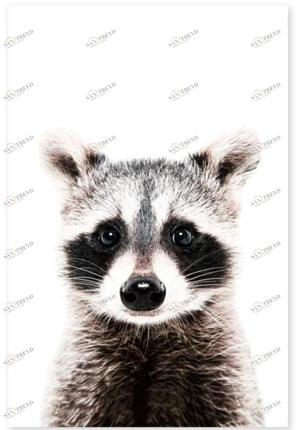 Groovy Magnets Клейкое виниловое украшение  St-92x60-ra 