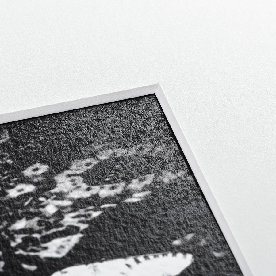 Литография на тонированной бумаге 42х52 см "Чёрный какаду, литография, 1820г" КАРТИНЫ В КВАРТИРУ  093803 Бежевый;белый;черный;разноцветный  - Вид №3