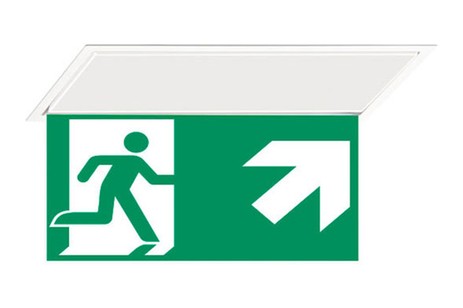 DST-330 Hydra pennant Daisalux Светильники аварийные Белый 