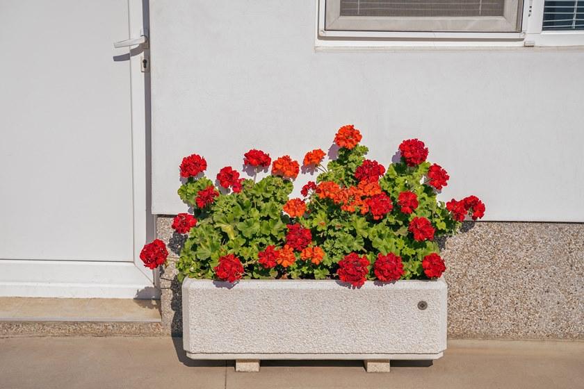 ENCHO ENCHEV - ETE Бетонная сеялка для общественных мест  80  - Вид №4