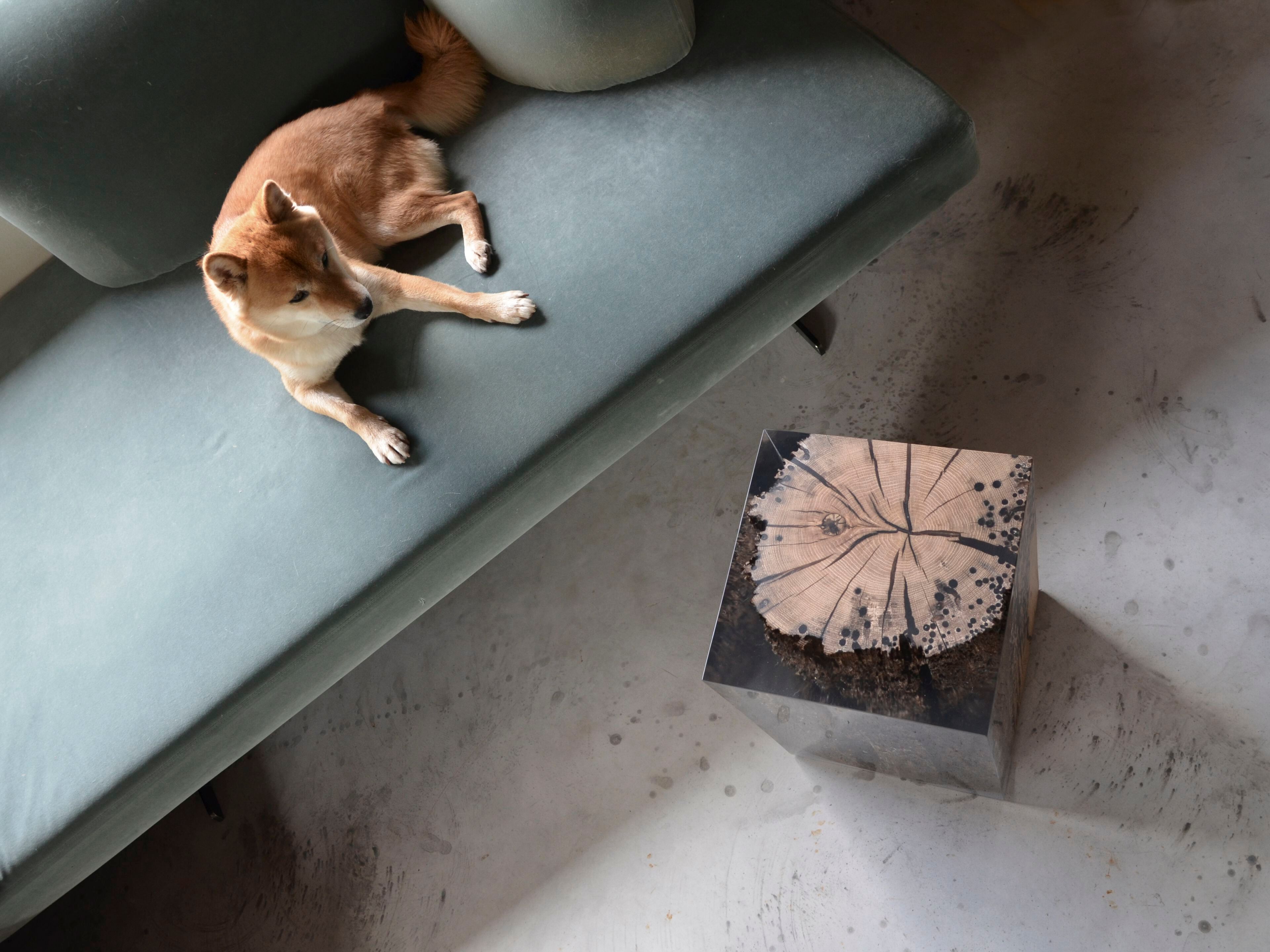 Табурет / журнальный столик из дуба и смолы alcarol Bricola ARCH-00047970 - Вид №20