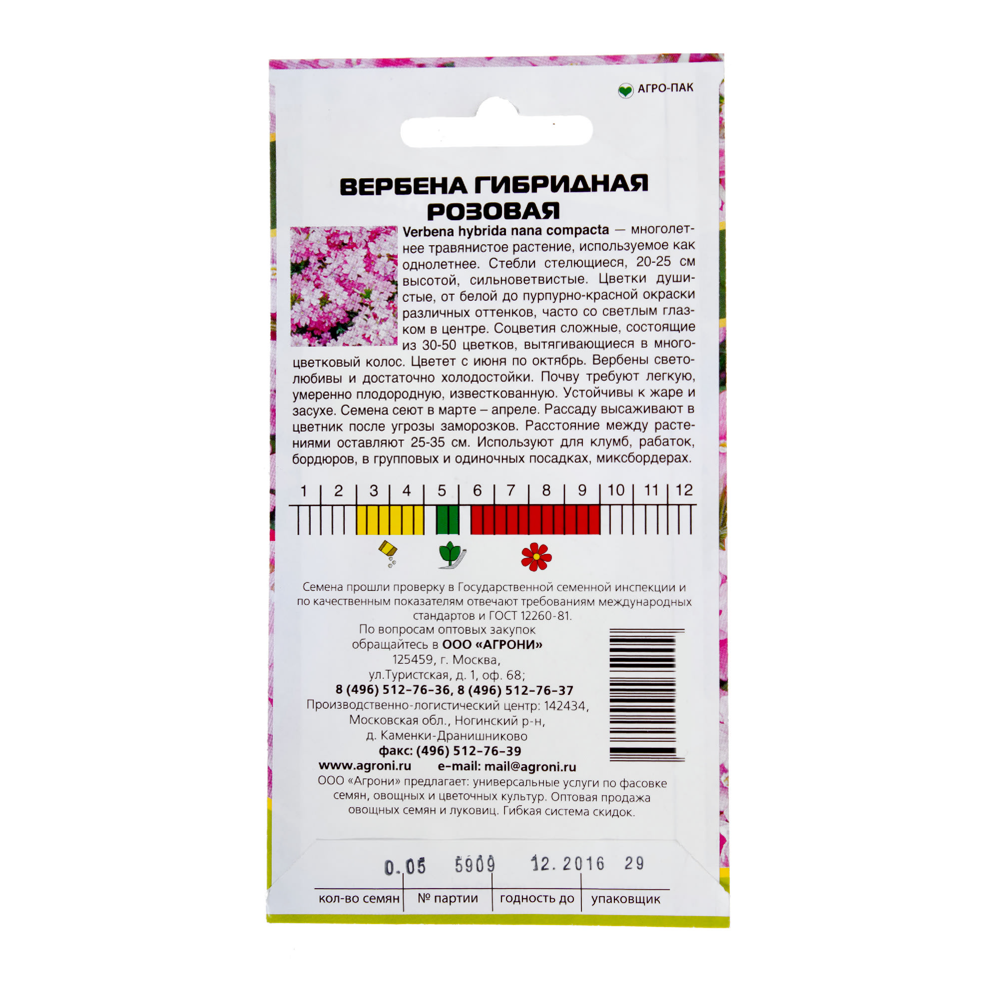 13846945 Вербена гибридная розовая Santreyd  - Вид №1