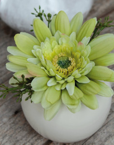 4215 788 a3 Шелковая гербера в керамическом горшочке, 12 см, бежево-зеленая H-andreas