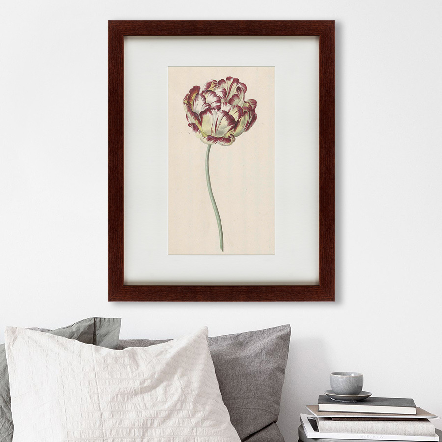 Картина: Tulp №1, 1815 КАРТИНЫ В КВАРТИРУ  135615 Разноцветный  - Вид №1