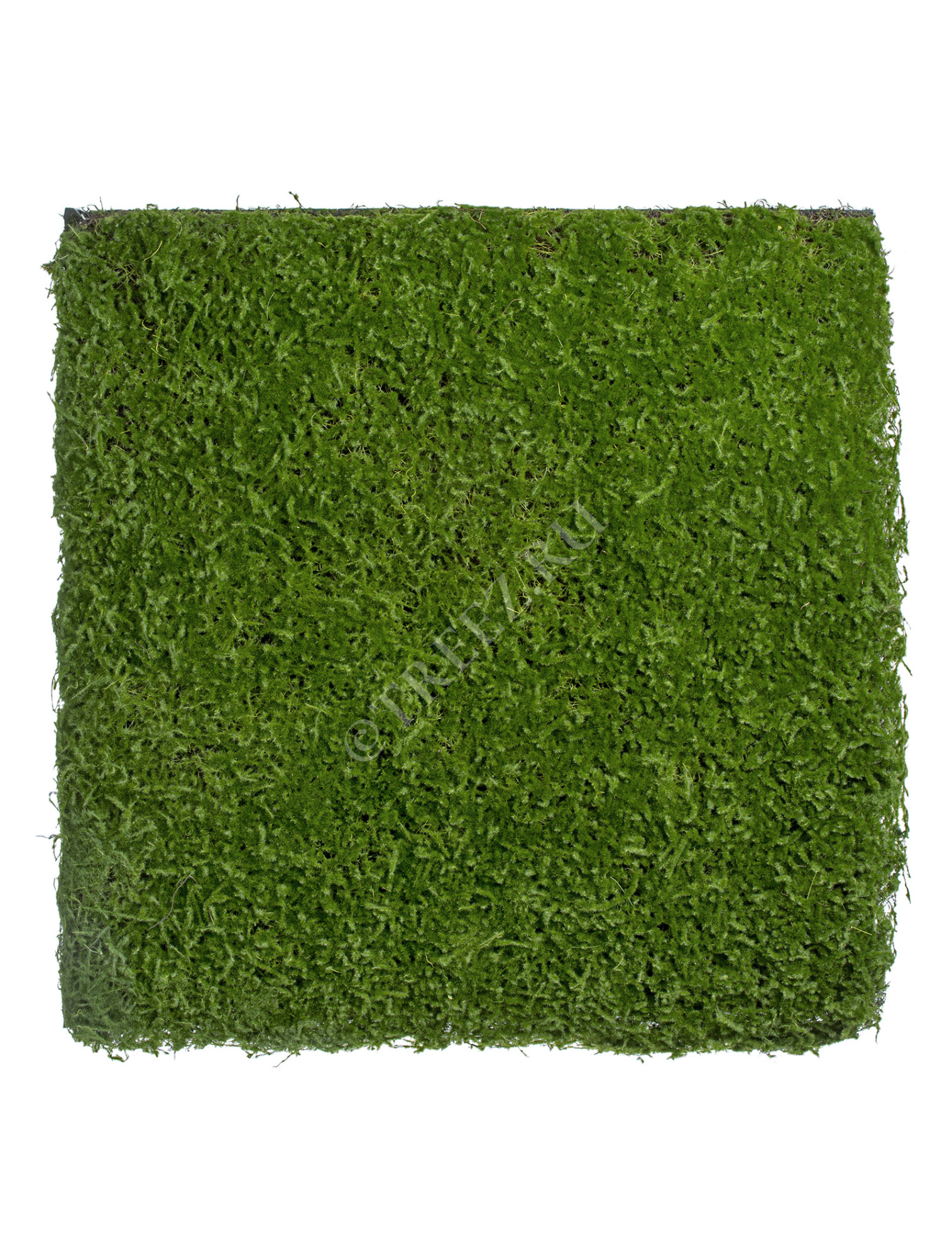 20.0818209L Мох Сфагнум (полотно) большое Цветочная коллекция 