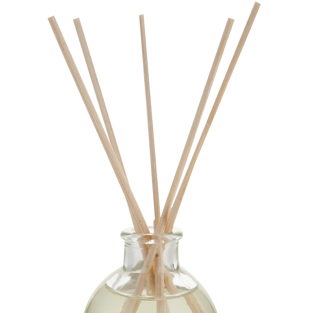 Ароматический диффузор Arida Home Таежная пихта, 50 мл STLM-2134110 - Вид №1