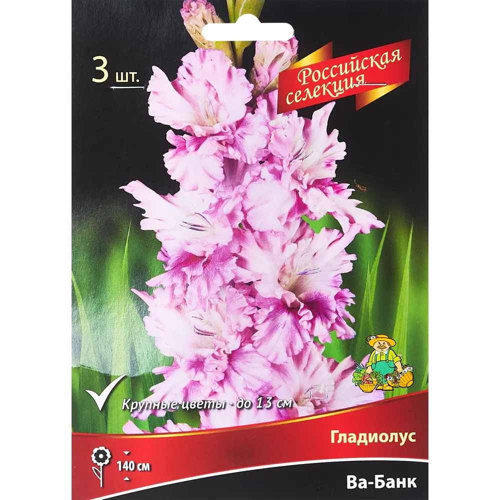 Гладиолус Ва-Банк, 3 шт 86410054 STLM-2167489 ПОИСК 