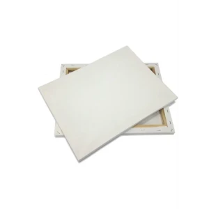 92707966 Холст для художников 40x40 см STLM-1337857