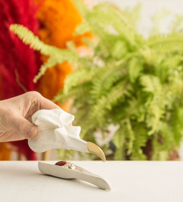 Шкатулка для украшений Bird Skull (белый) SUCK UK SKTIDYBIRD1 - Вид №2