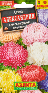 86405463 Семена цветов Аэлита астра Александрия STLM-0068578 Santreyd