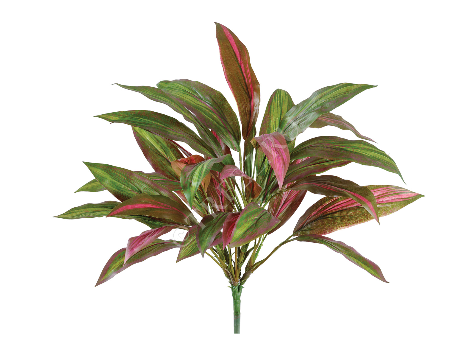 20.1120N Куст Драцены бордово-зелёной Цветочная коллекция 