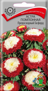 86217910 Семена цветов Поиск астра помпонная Превосходный Гасфорд STLM-0066902 Santreyd