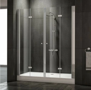 Душевая дверь в нишу Terra 00625  Словения