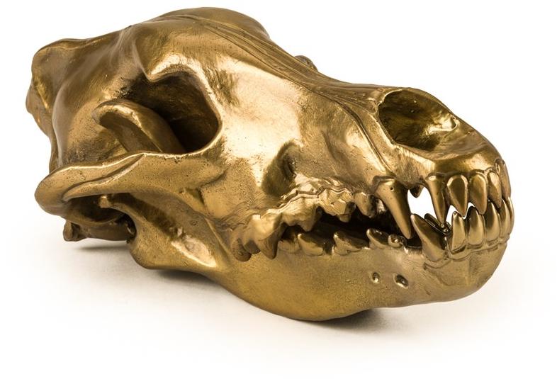 Seletti Алюминиевый декоративный предмет Wunderkammer sun-id-1419385 - Вид №4