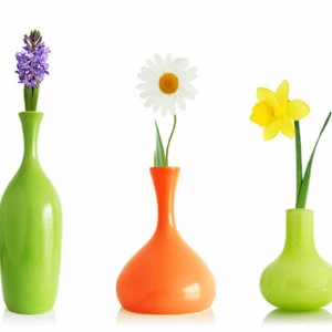 D2-028 Фотообои DIVINO Collection D 1.47х3 м