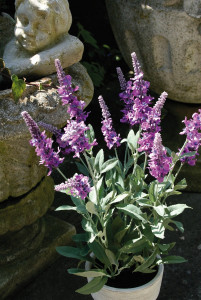 2109 227 a2 Искусственный куст лаванды, горшечный, 48 см, светло-фиолетовый-темно-фиолетовый H-andreas