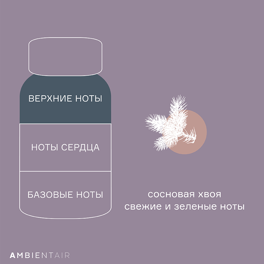 MK100WJEF Диффузор ароматический enchanted forest, Белый жасмин, 100 мл Ambientair  - Вид №5