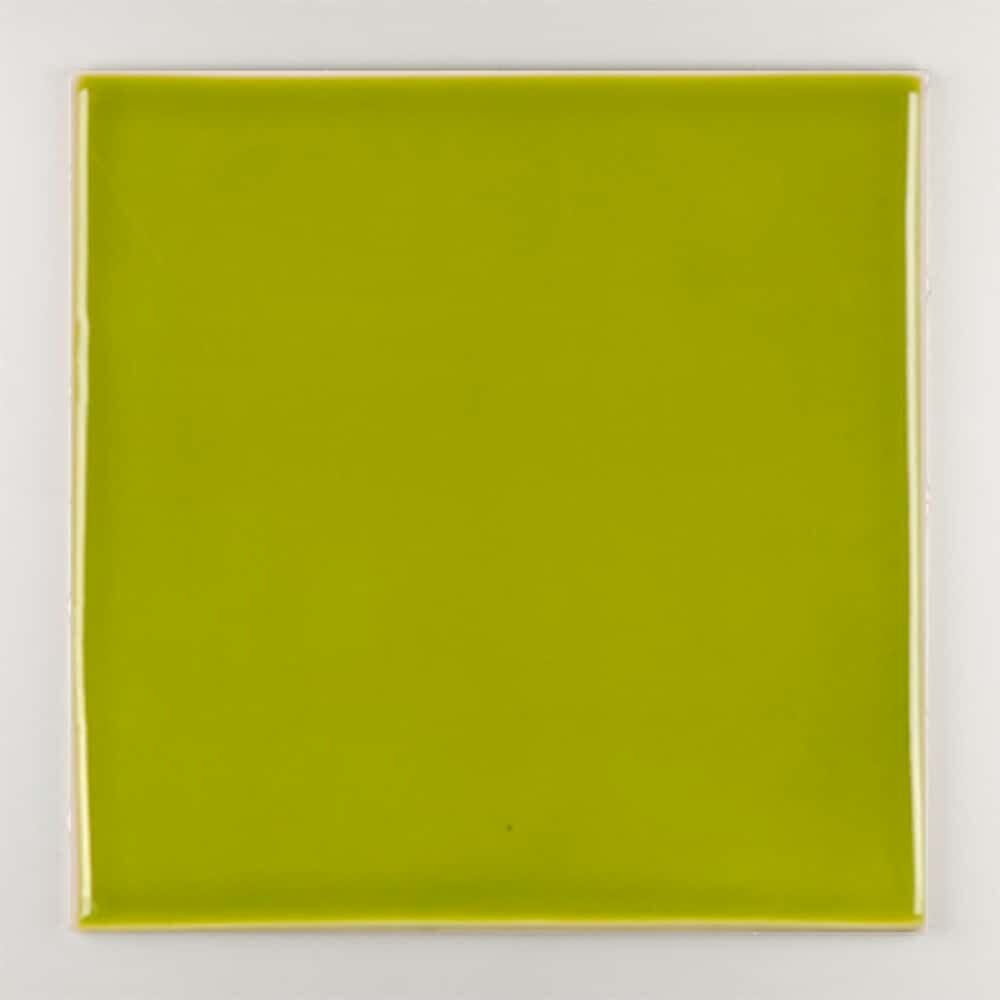 Пол / покрытие ручной работы La Riggiola одноцветный ARCH-00005067 - Вид №5