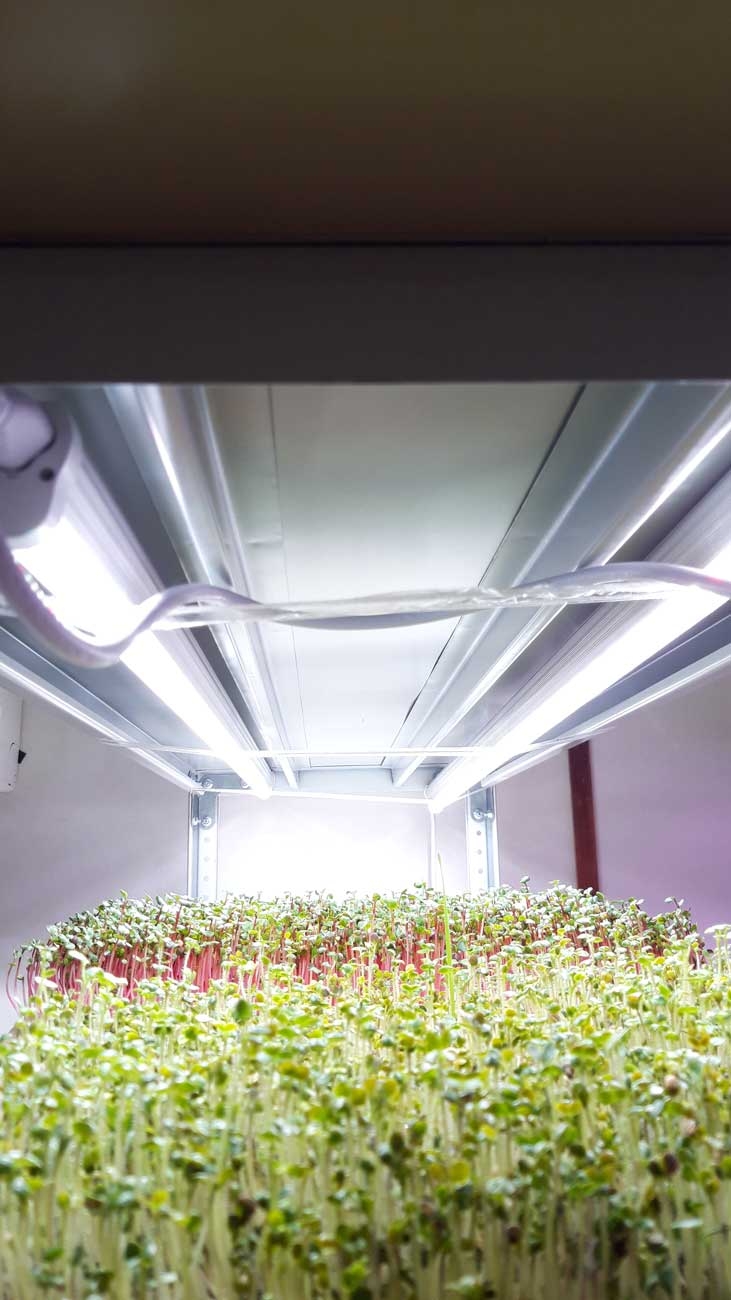 1038 Фитолампа для растений линейная VA-3 120 см Биколор комфорт 5000+660 LAB.Space  - Вид №5