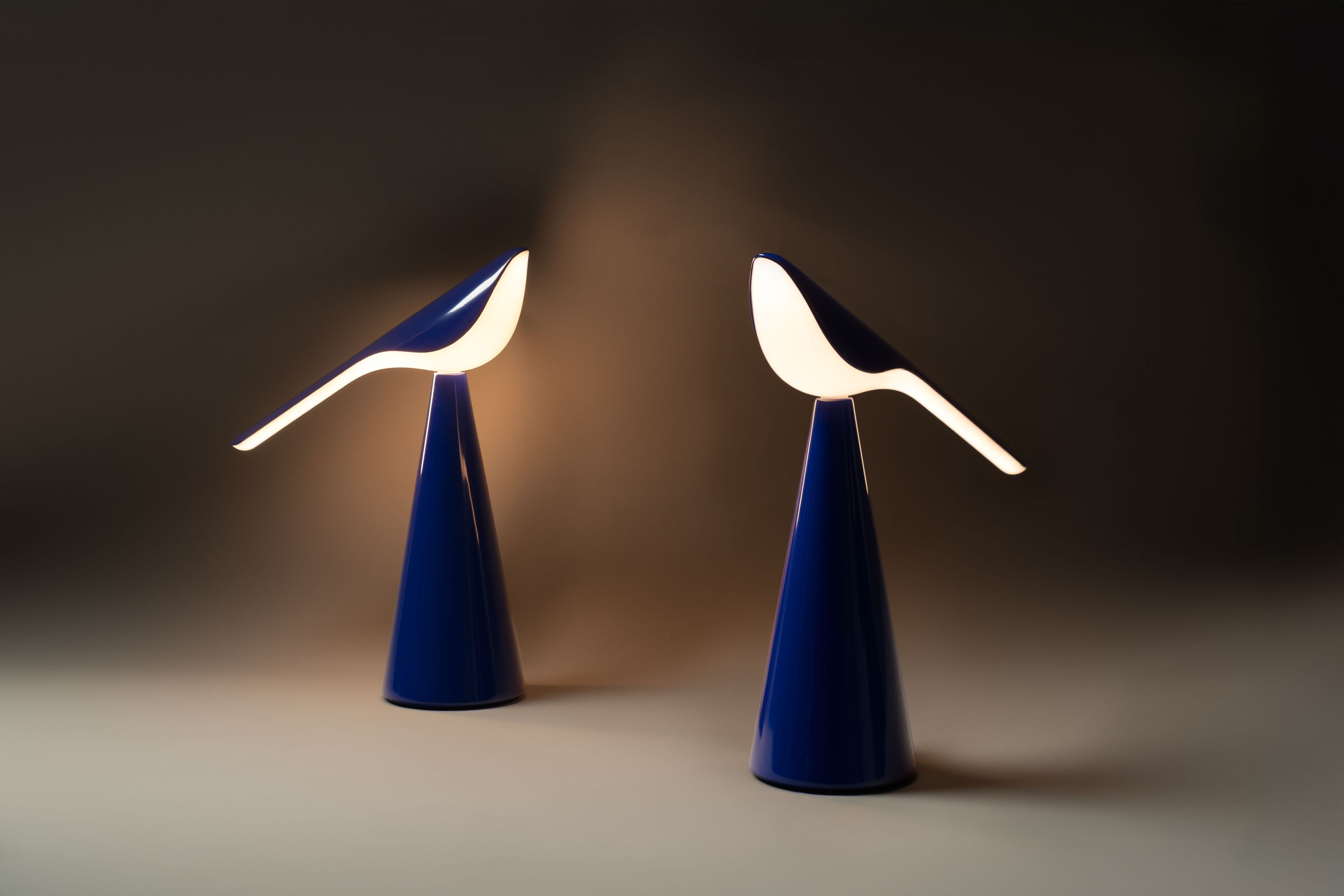 Алюминиевая светодиодная настольная лампа Established&Sons TIKI ARCH-00145932 - Вид №76