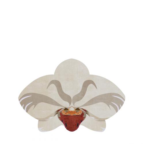 Ophris Ковер Visionnaire 