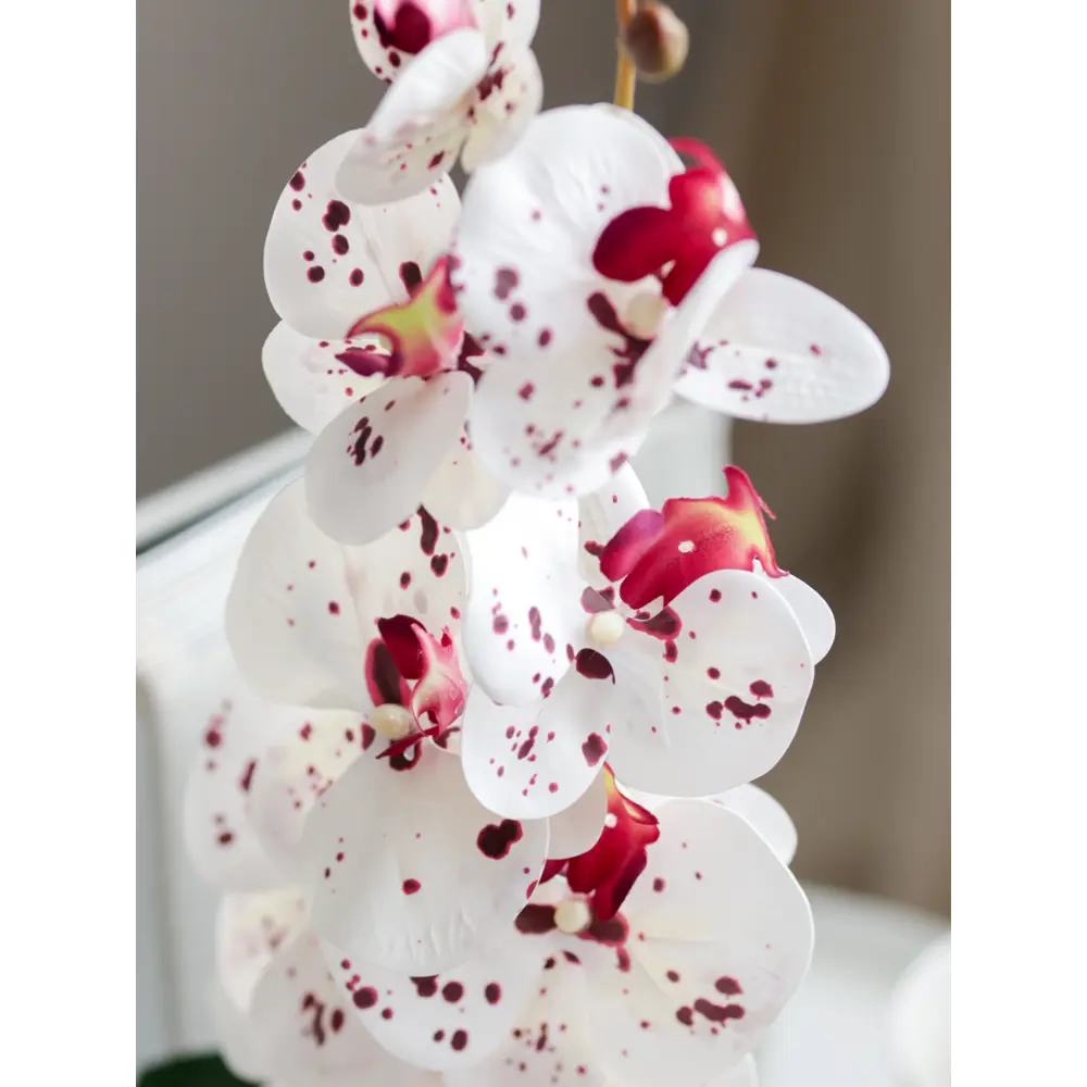 89356247 Искусственное растение в горшке орхидея h50 см цвет тигровый STLM-0951485 Santreyd  - Вид №5