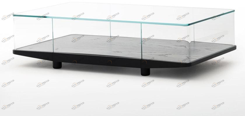 Glas Italia Прямоугольный журнальный столик из хрусталя с отделением для хранения вещей Collector sun-id-1348797