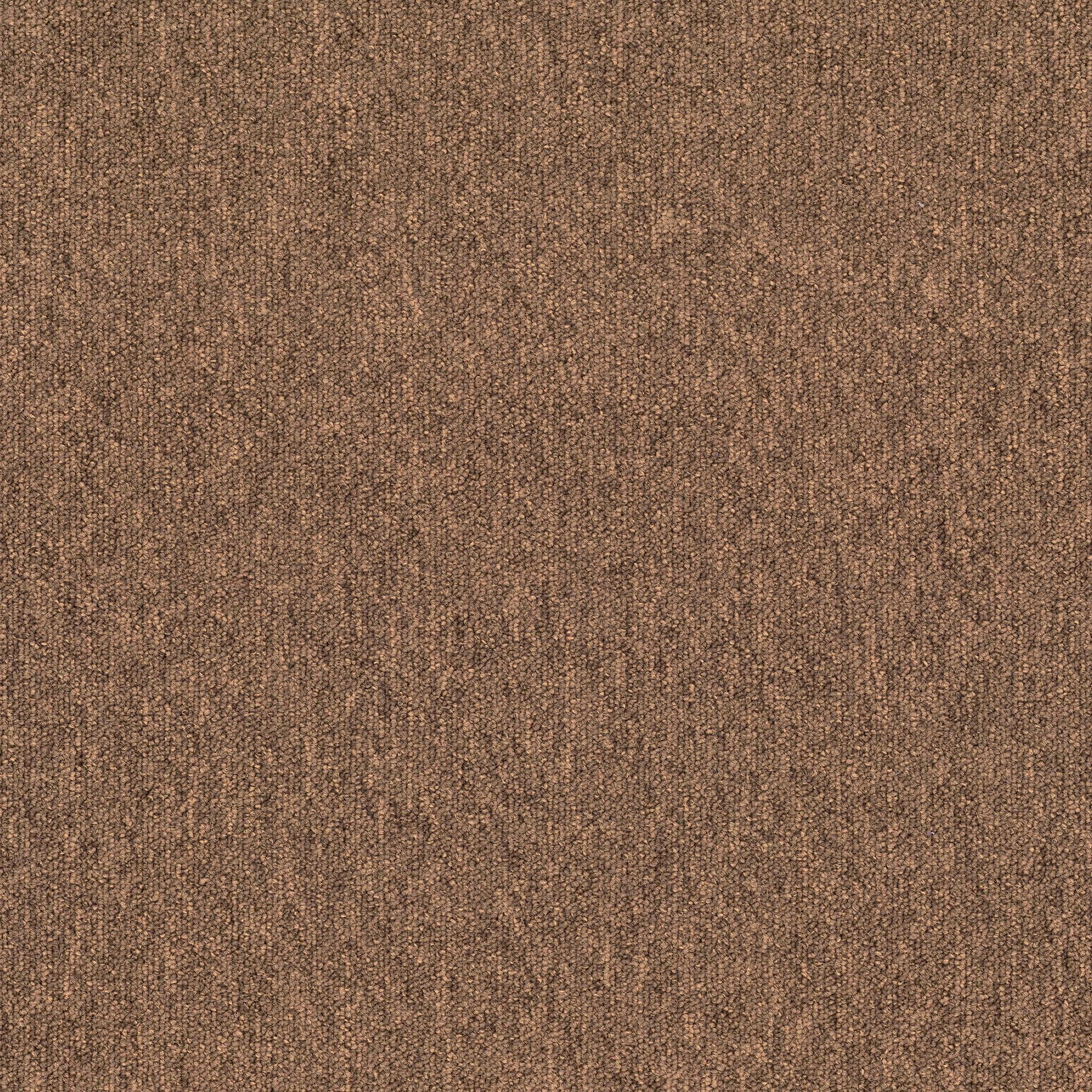 Ковровое покрытие из полиамида MODULYSS плюс ARCH-00125764 - Вид №19