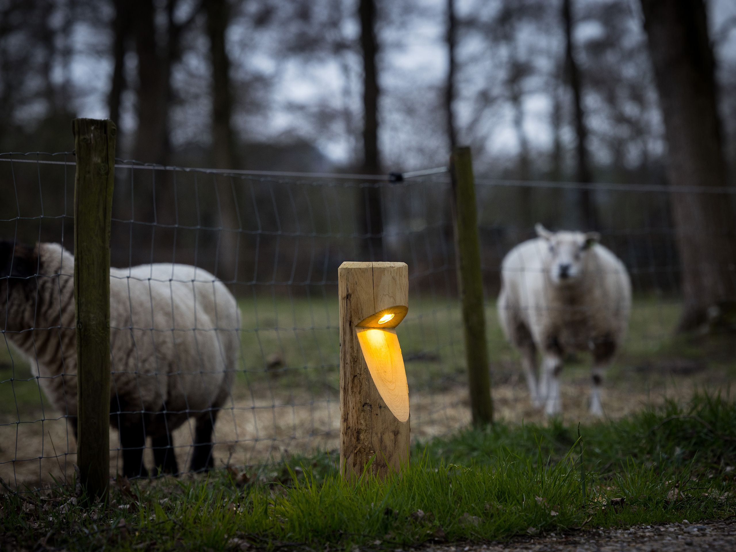 Каштановый светодиодный световой столб Timberlab BOSCO ARCH-00137906 - Вид №7