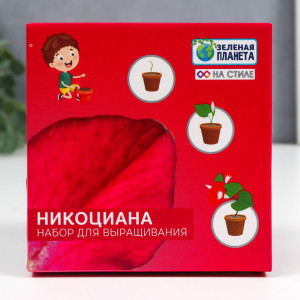 90694973 Набор для выращивания с глиняным горшочком Никоциана STLM-0341628 SIMALAND