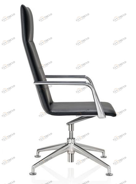 Brunner Кожаное кресло руководителя с 4-мя спицами и подлокотниками Fina sun-id-1471910