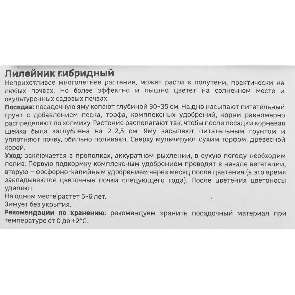 Лилейник Geolia гибридный Ред Рам 86408708 STLM-2102700  - Вид №3