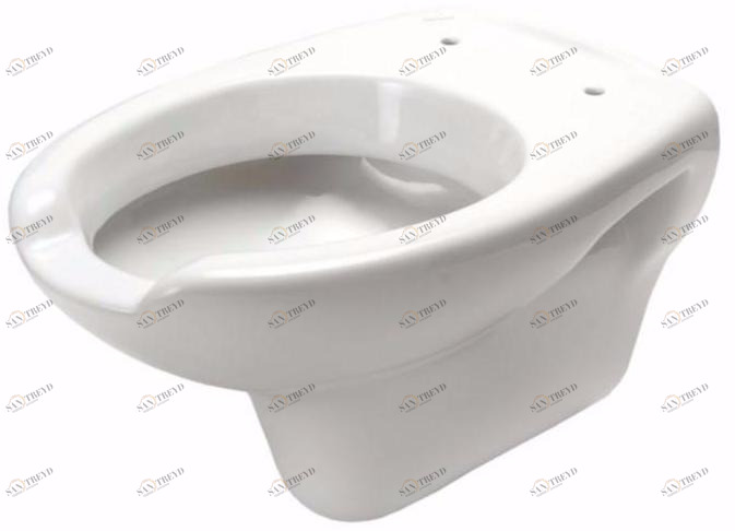 460-a Подвесной унитаз настенный Белый Saniline Classic Китай