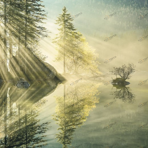 SH018-VD2-Indulgence-of-Beauty Фотообои Komar Stefan Hefele 2.5х2 м SH018VD2INDULGENCEOFBEAUTY