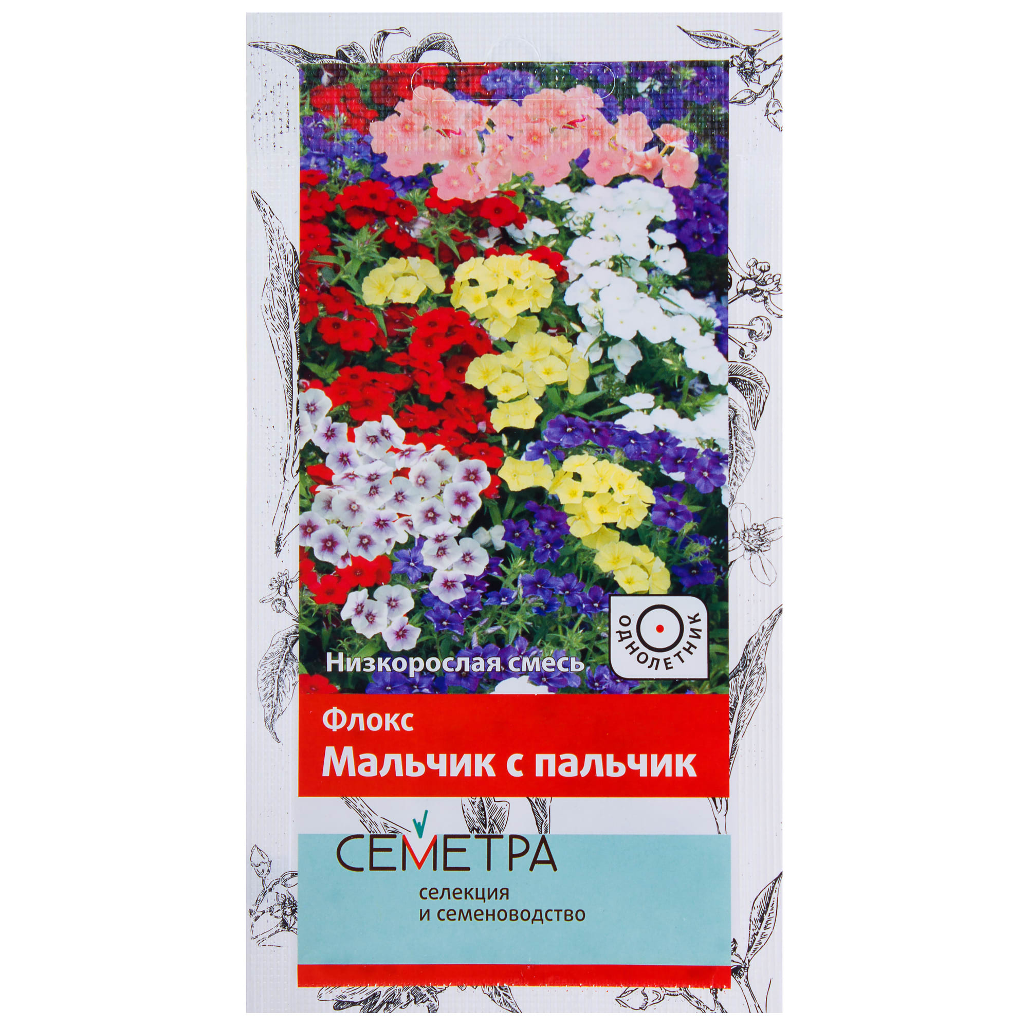 18359302 Флокс «Мальчик с пальчик» Santreyd 