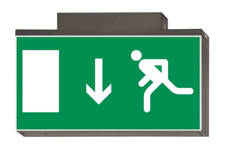 DST-734 Lisu ceiling-mounted Daisalux Светильники аварийные Металлический Серый 