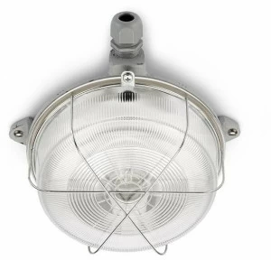 THPG Уличный потолочный светильник  100502