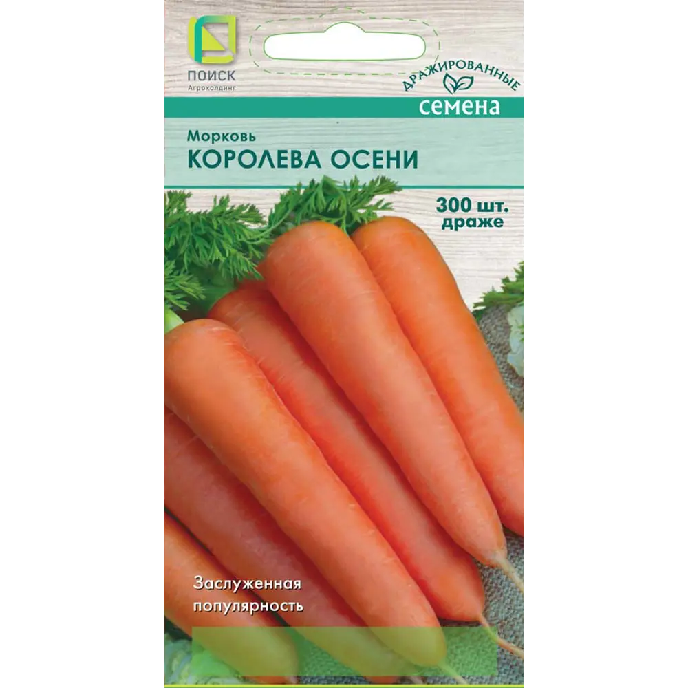 Морковь ПОИСК Королева осени дражированная 300 семян 83577700 STLM-1323866