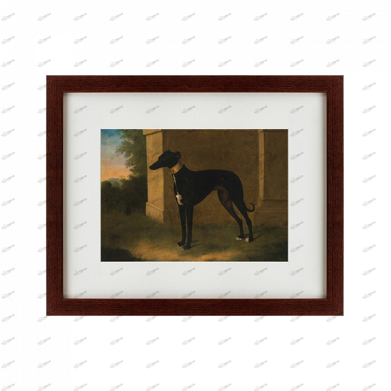 Картина: Portrait of a Greyhound called Pompon, 1746 КАРТИНЫ В КВАРТИРУ  135547 Разноцветный 