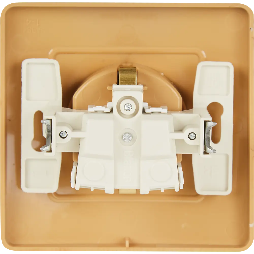 Розетка Systeme Electric Blanca ясень с защитными шторками 84500173 Серия отсутствует STLM-0050671 - Вид №3