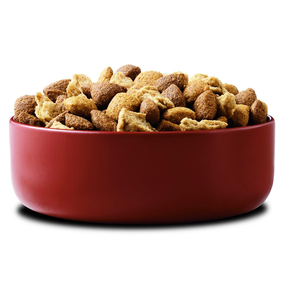 ПР0059685 Корм для собак для средних и крупных пород, говядина, рис сух. 10кг ONE  - Вид №5