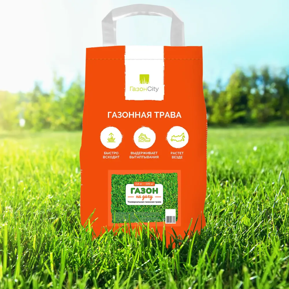 ГАЗОНCITY Семена для идеального дачного газона 2.8 кг 87274165 STLM-0073617 - Вид №2