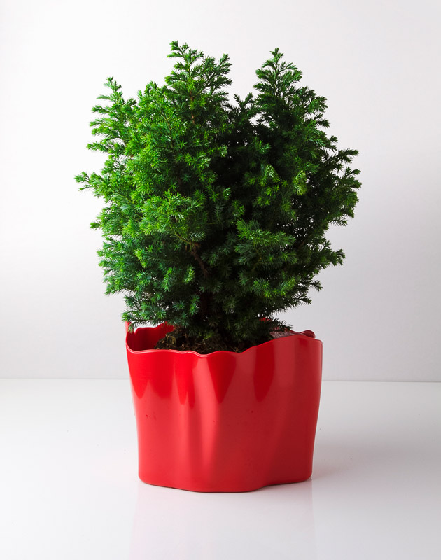 Органайзер красный средний Flow QUALY  00-3872074 Красный  - Вид №3