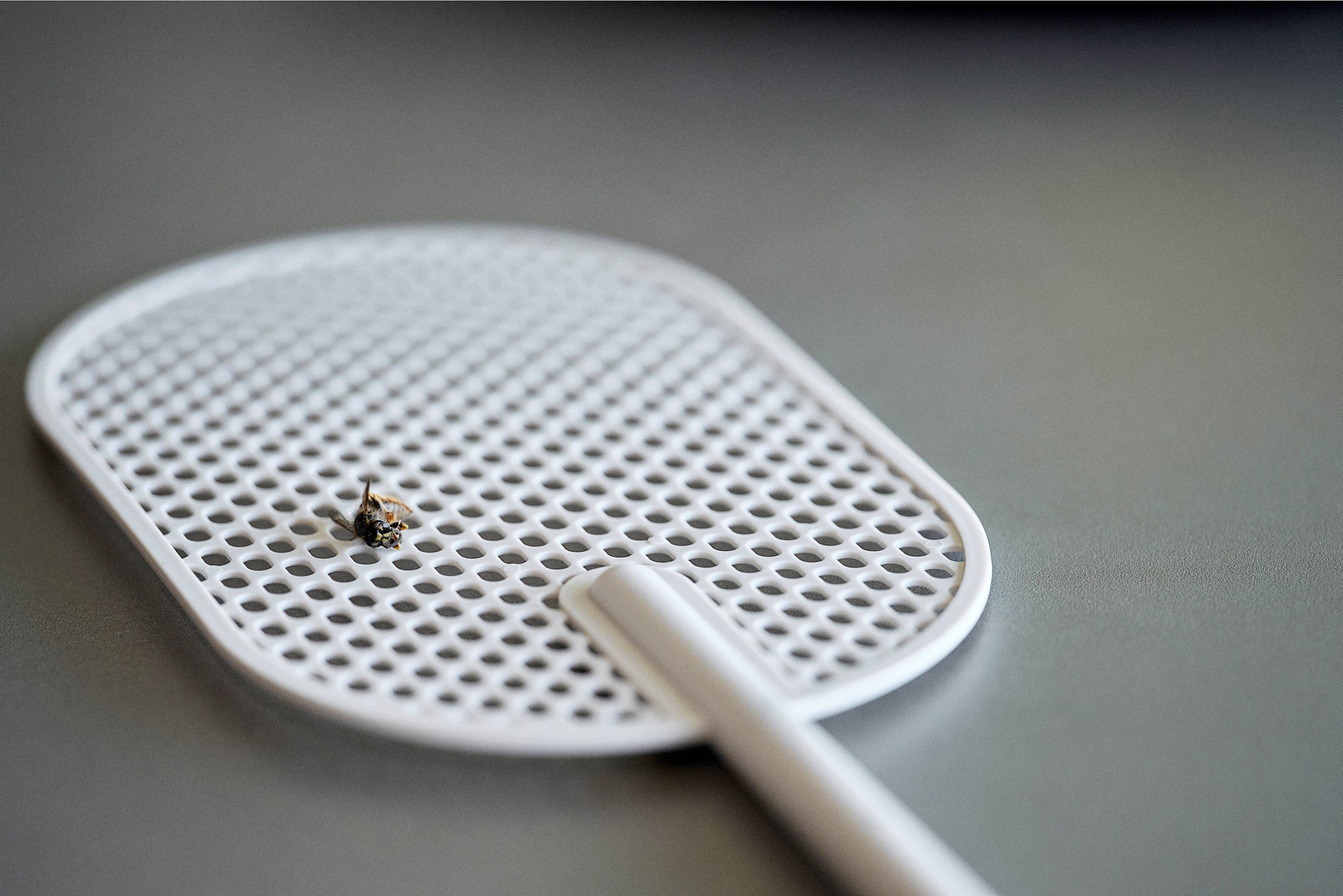 15102 мухобойка Zone Denmark Singles - Вид №1