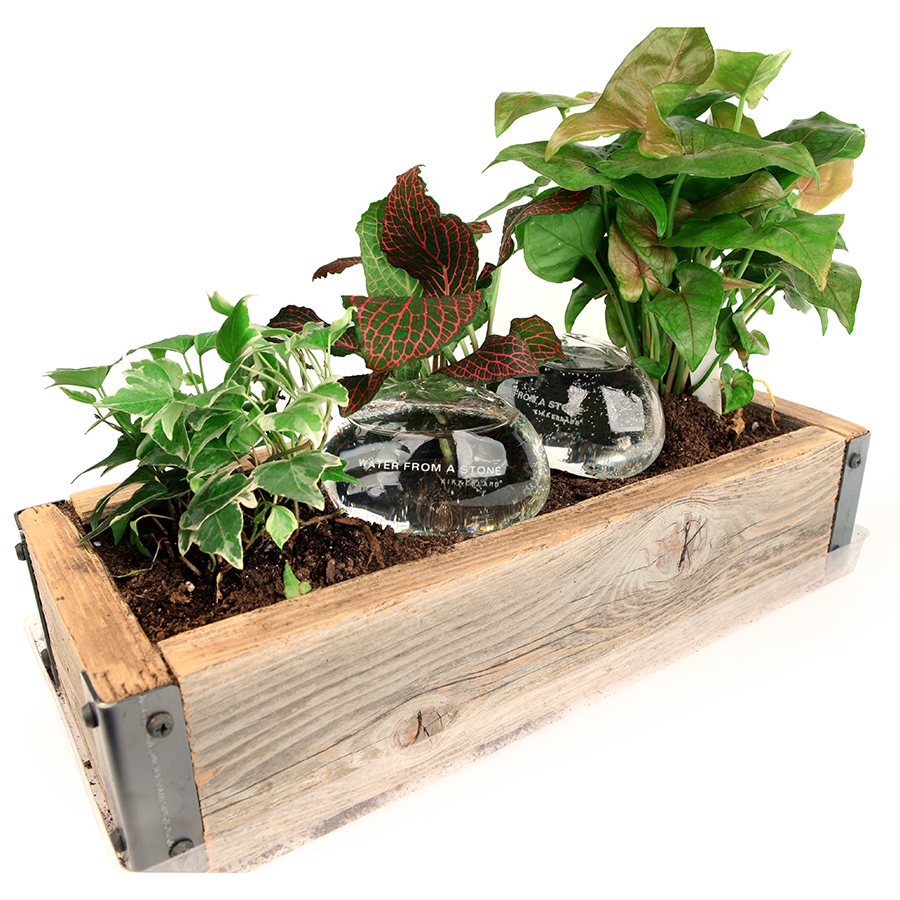 WR01 Система для автополива water rocks, 2 предмета Kikkerland  - Вид №1