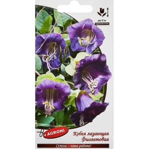Семена цветов Agroni кобея лазающая фиолетовая 87030174 STLM-2062979