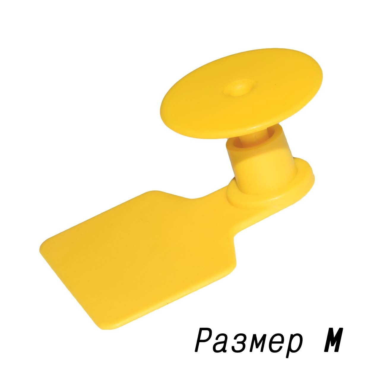 6519 Ушная бирка M LAB.Space  - Вид №2