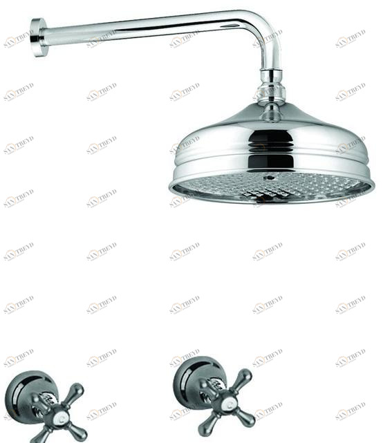 Rubinetteria Giulini Смеситель для душа на 3 отверстия с лейкой Lotus - vienna F0515kb